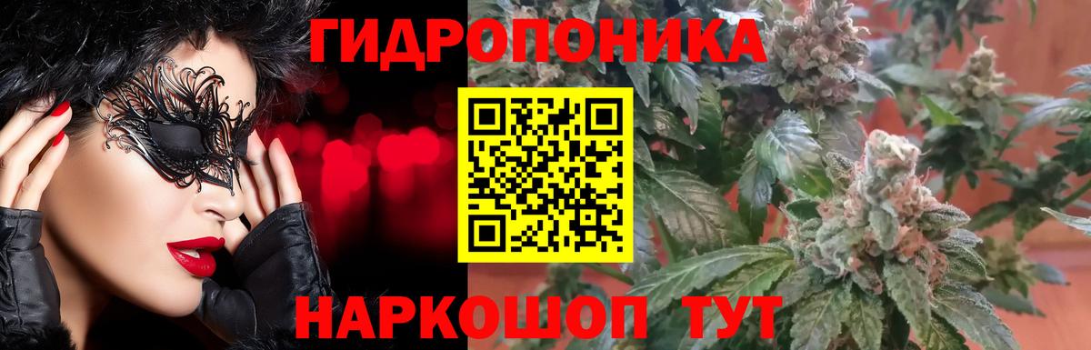 Марихуана Bruce Banner  Вход с VPN  Шишки марихуана марихуана  Чехов  Марихуана Ganja 